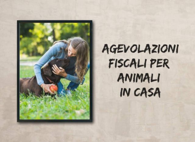 pixiz-09-05-2019-13-33-26