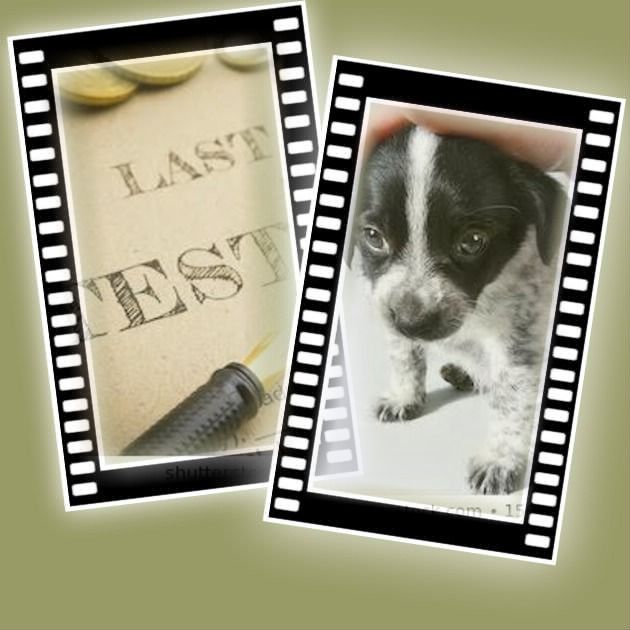 pixiz-23-04-2020-17-12-44